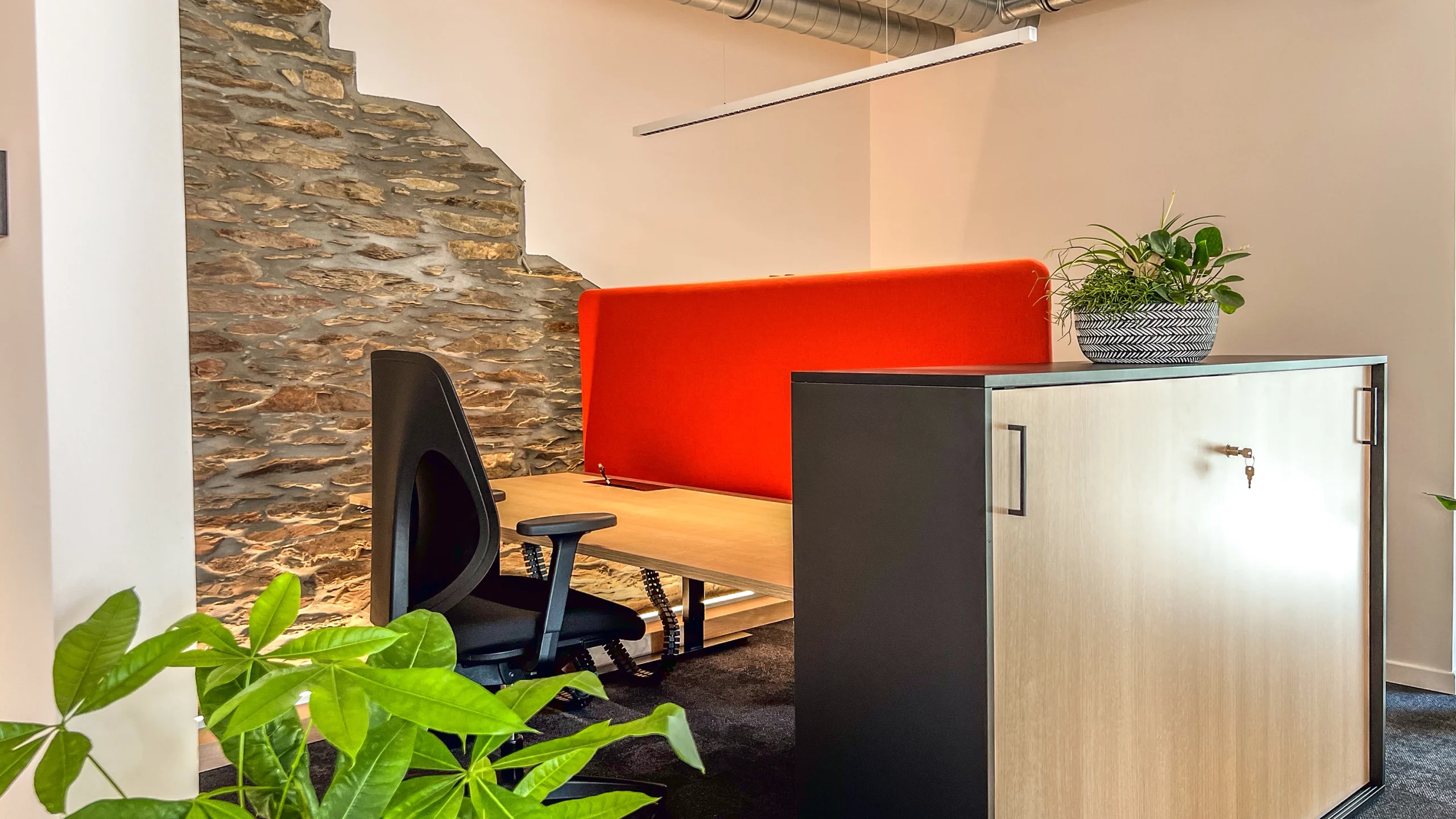 Romain Cusumano - Photographe